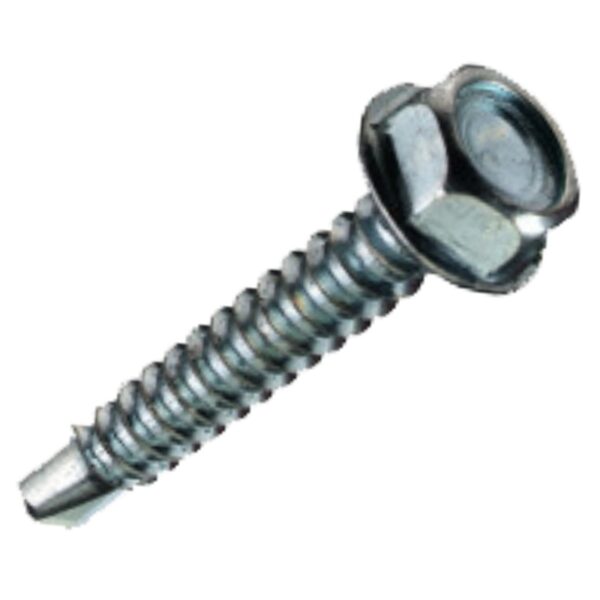 Holsurub autoforant cap hexagonal (4.8MMx19MM)