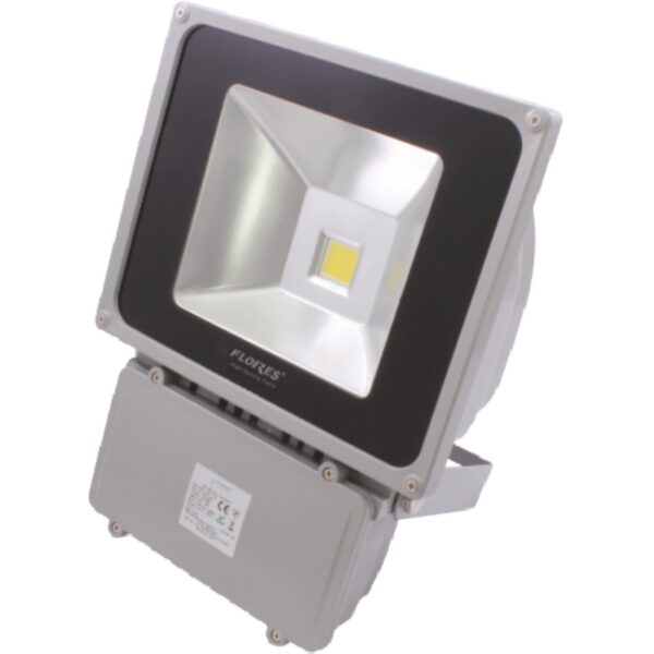 Lampa cu proiector si led (75W-5 600K)